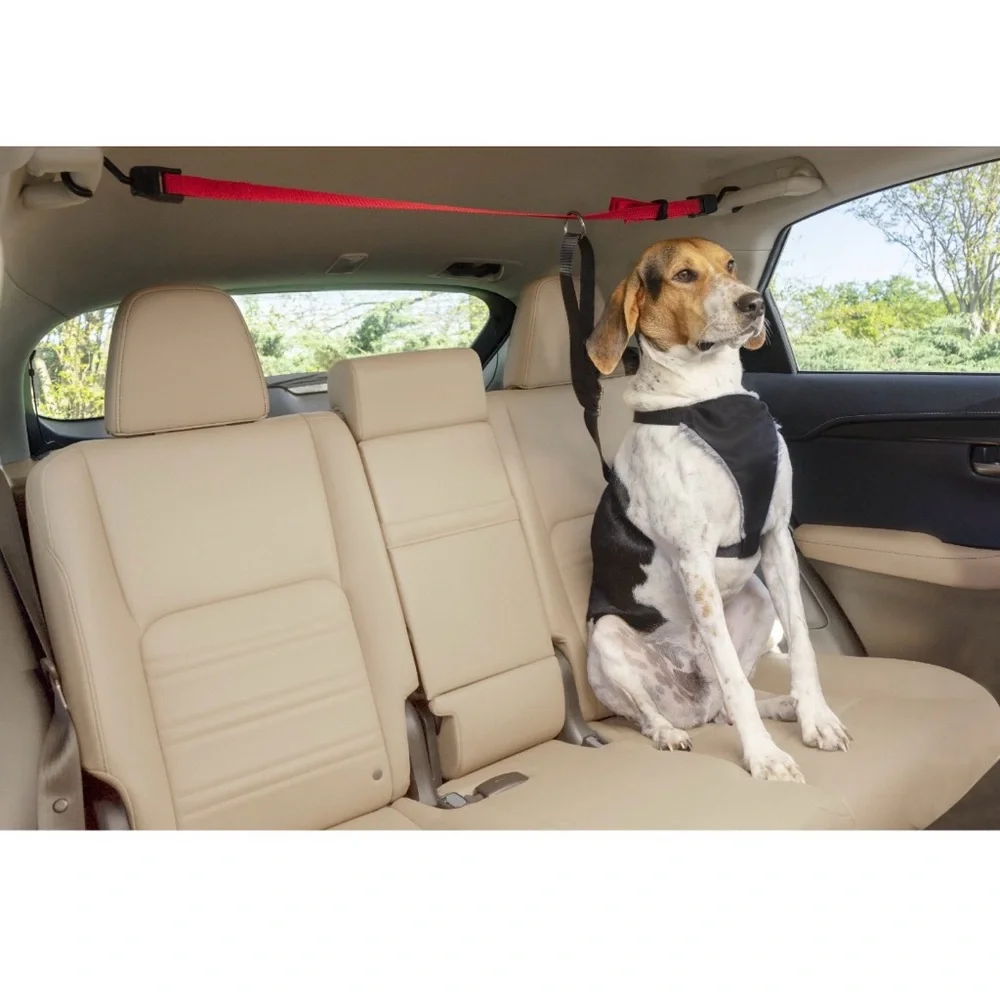 Pet Zipline for Car